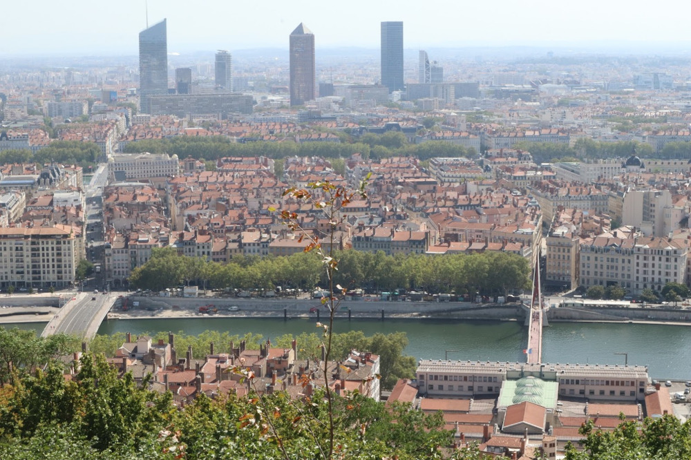 A tree branch separates Lyon's city center into two.