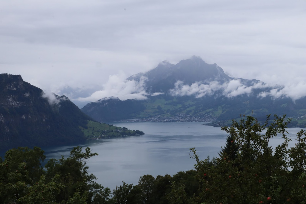 The view about a third of the way up Mt. Rigi on a foggy day.