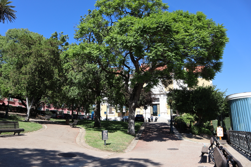 The courtyard to a church.